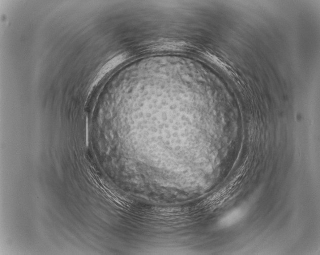 X0000057561219200510071509
