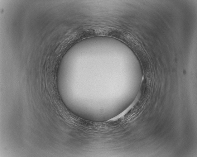 X0000057561249200510071509