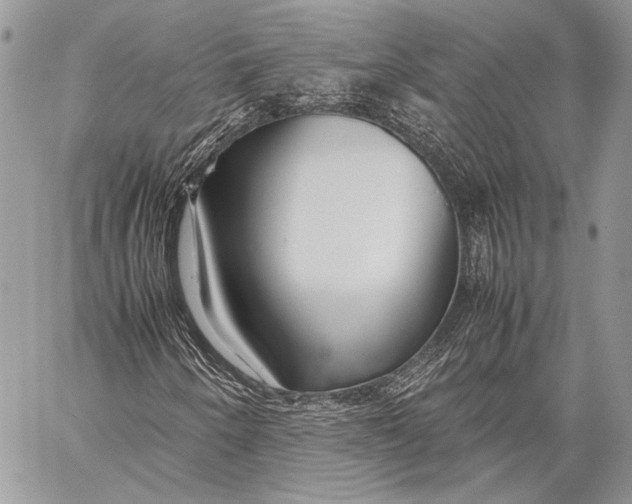 X0000057561250200510071509