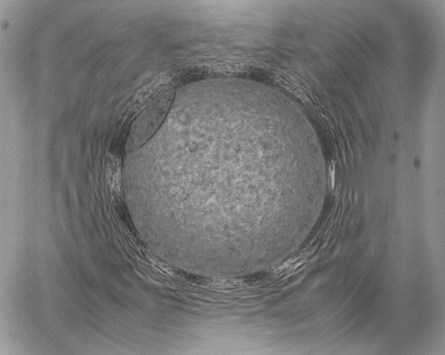 X0000057561251200510071509