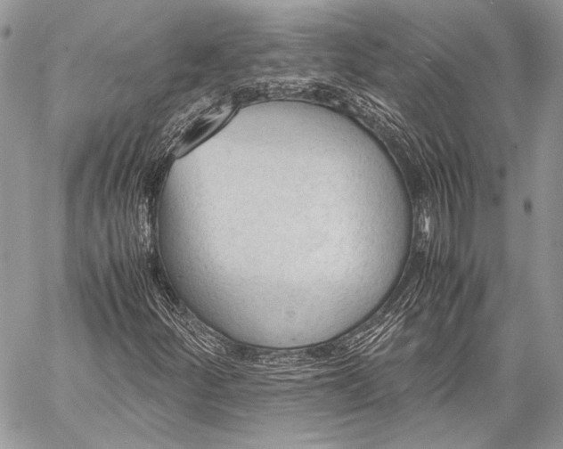 X0000057561252200510071509