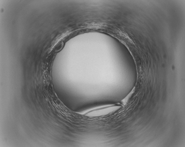 X0000057561256200510071508