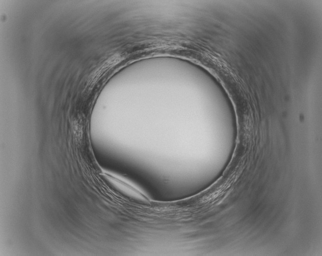 X0000057561257200510071508