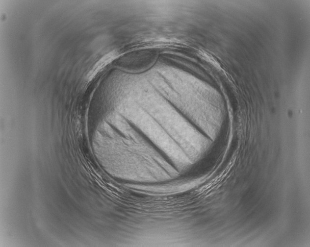 X0000057561259200510071508