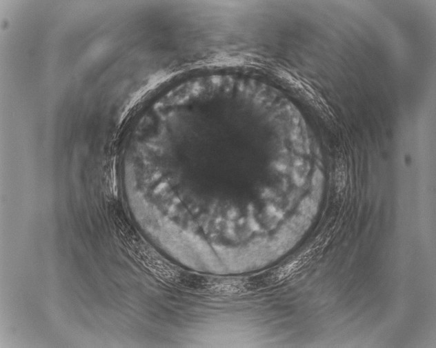 X0000057561262200510071508