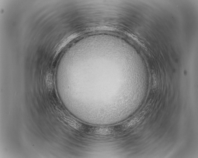 X0000057561266200510071508
