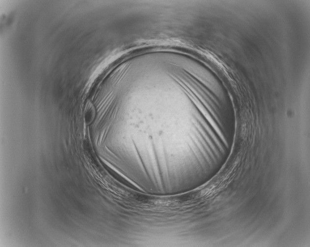 X0000057561271200510071508