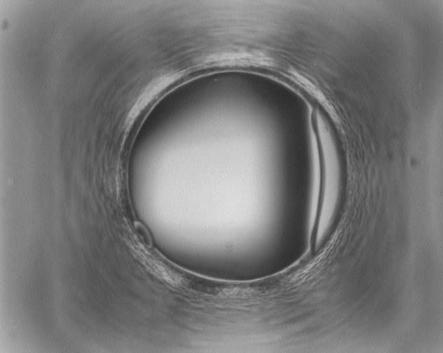 X0000057561277200510071508