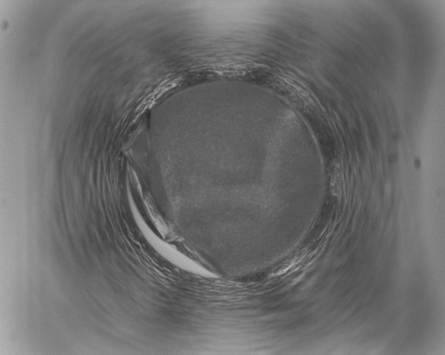 X0000057561298200510071507