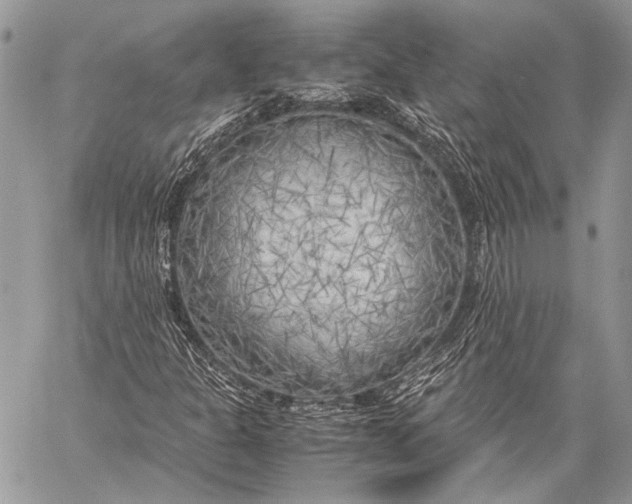 X0000057561301200510071507