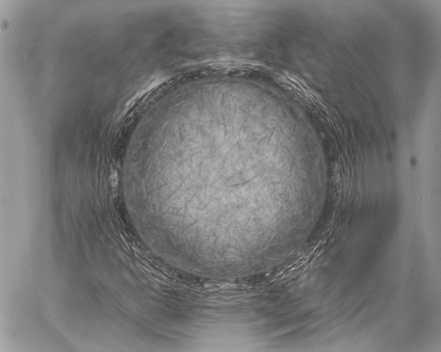 X0000057561302200510071507
