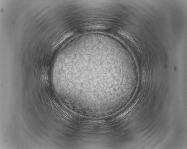 X0000057561305200510071507