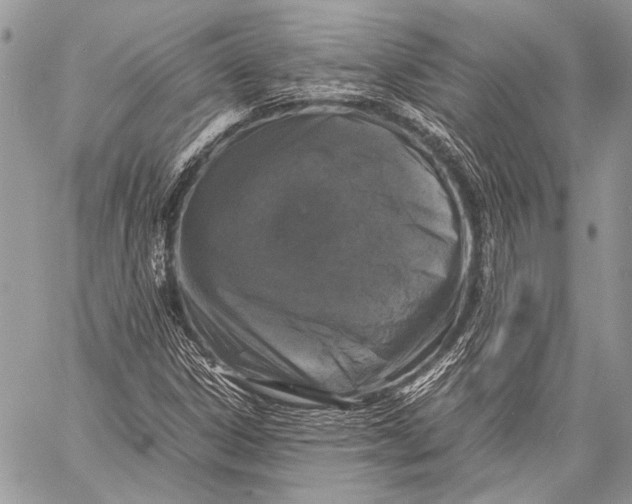 X0000057561306200510071507