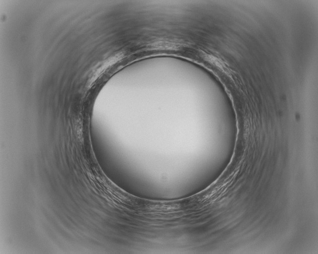 X0000057561307200510071507