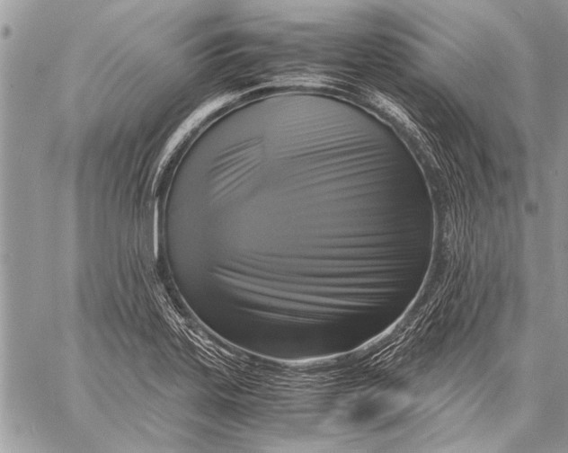 X0000057561323200510071507