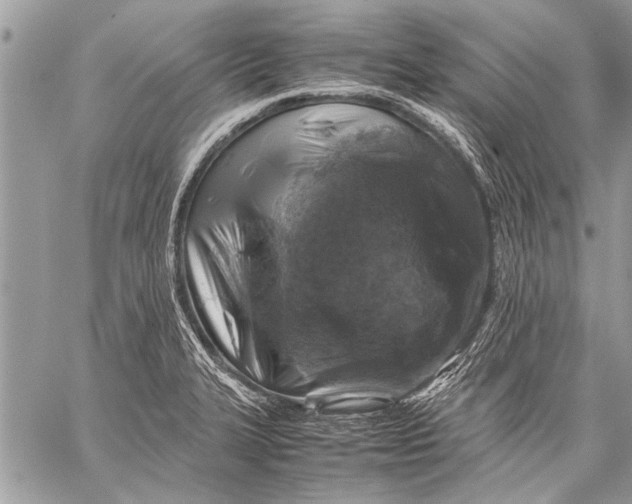 X0000057561327200510071507