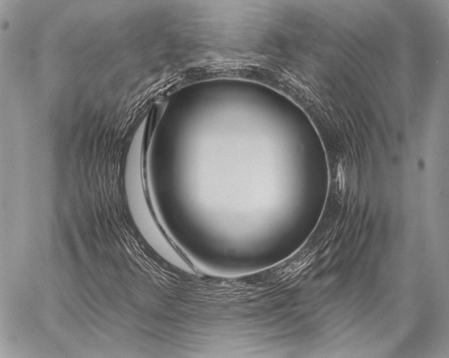 X0000057561348200510071507