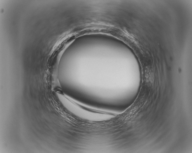 X0000057561352200510071507