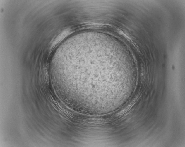 X0000057561354200510071507