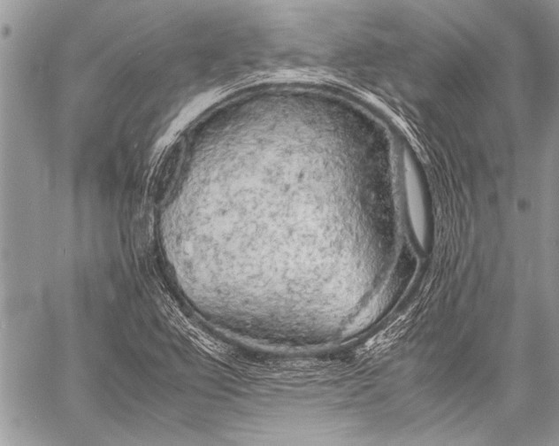 X0000057561367200510071507