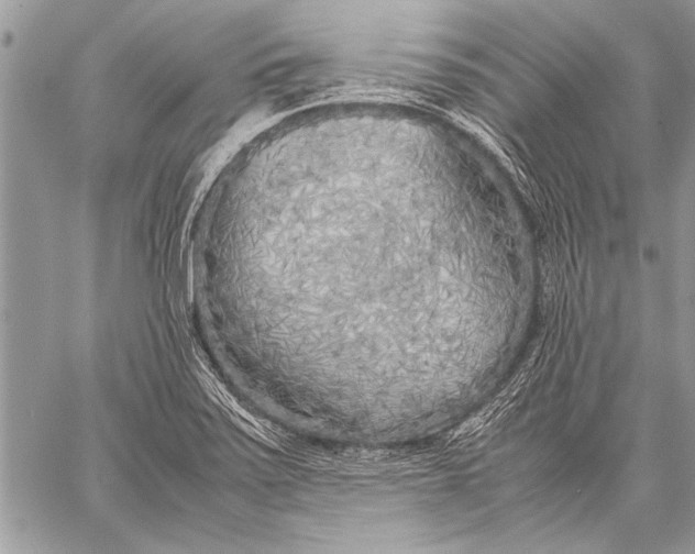 X0000057561371200510071507