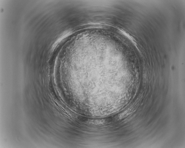 X0000057561411200510071506
