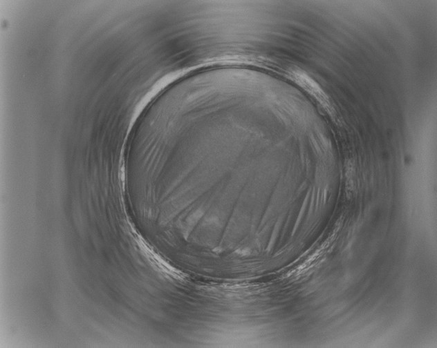X0000057561428200510071506