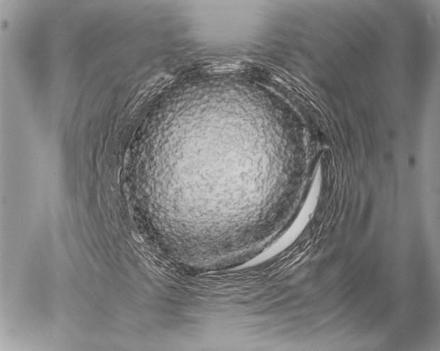 X0000057561441200510071505
