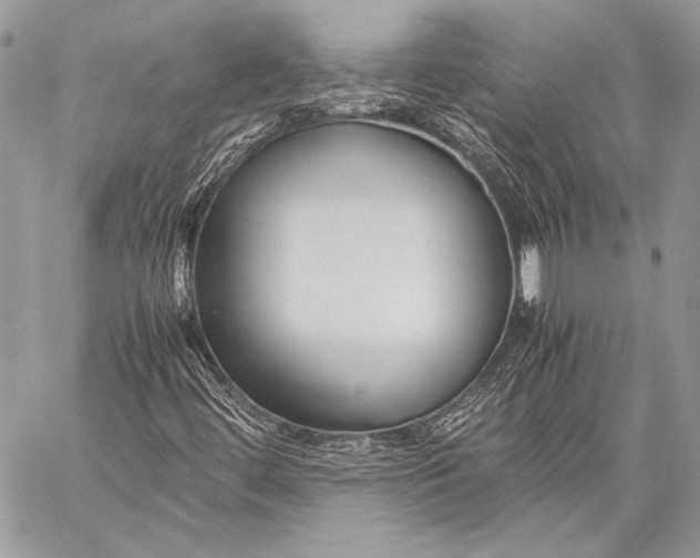 X0000057561444200510071505