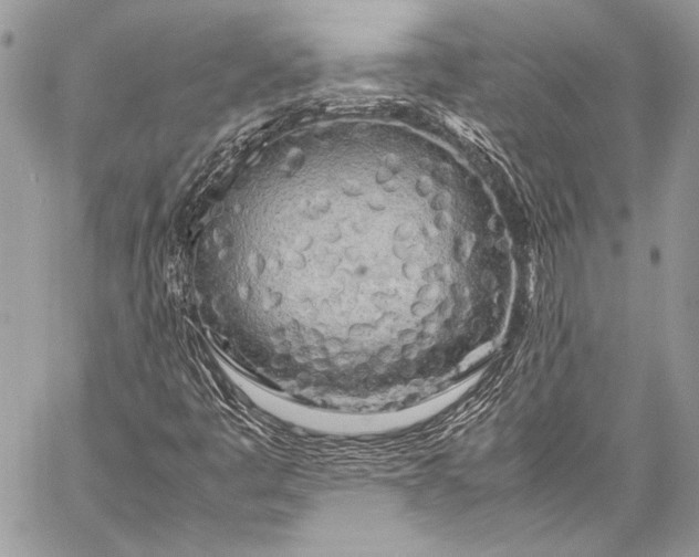 X0000057561445200510071505