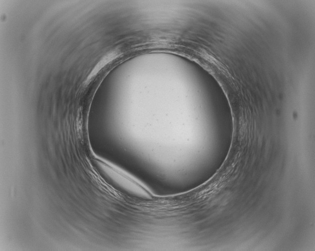 X0000057561450200510071505