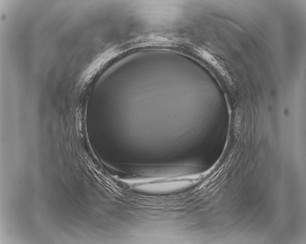 X0000057561455200510071505