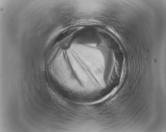 X0000057561459200510071505