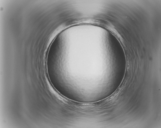 X0000057561483200510071505