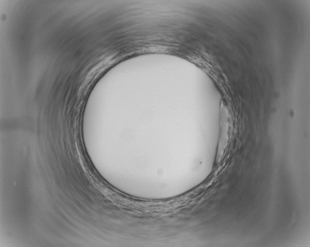 X0000057560001200510141400
