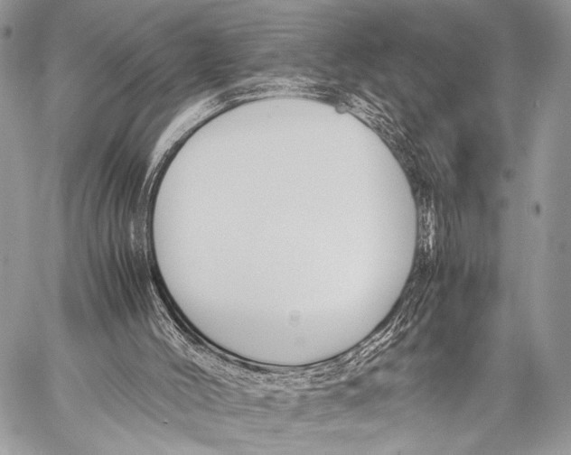 X0000057560004200510141400