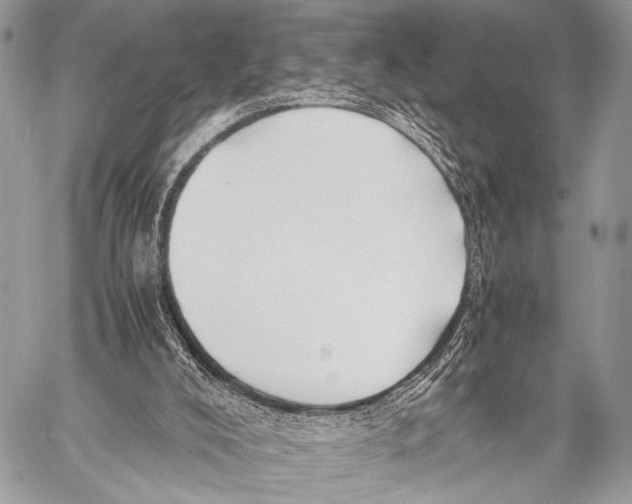 X0000057560008200510141400