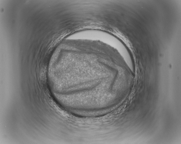X0000057560009200510141400