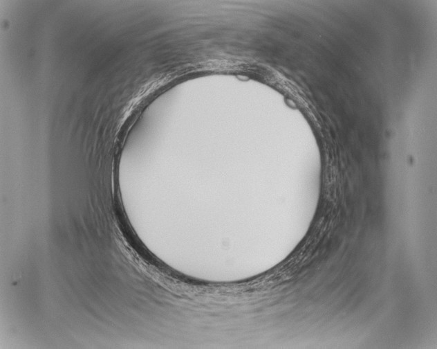 X0000057560011200510141400