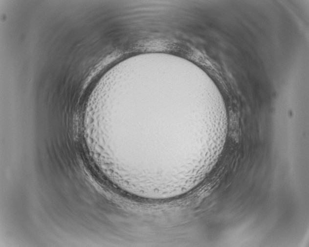 X0000057560012200510141400