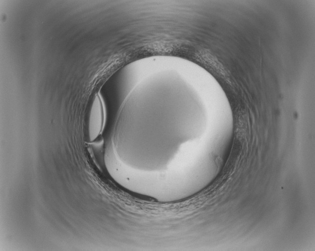 X0000057560023200510141400