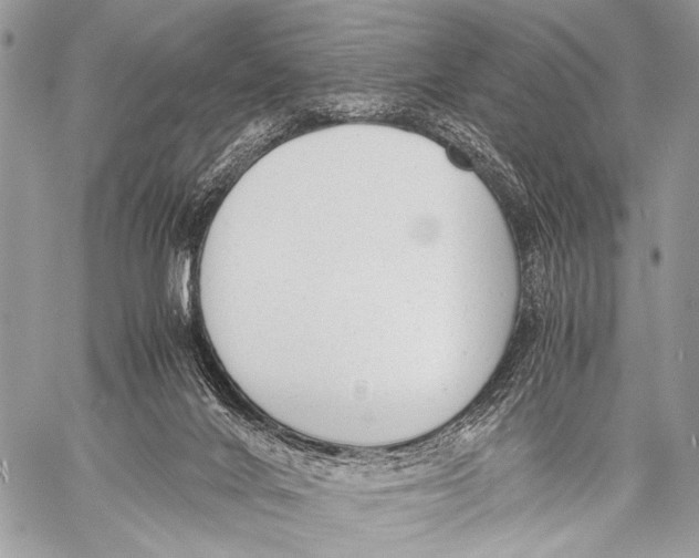 X0000057560024200510141400