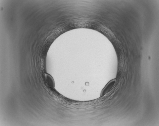 X0000057560025200510141400