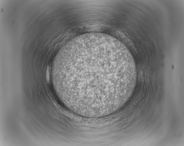 X0000057560026200510141400