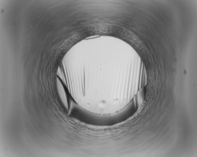 X0000057560029200510141400