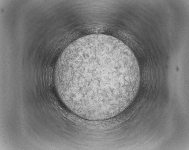 X0000057560030200510141400