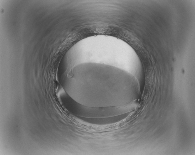 X0000057560031200510141400