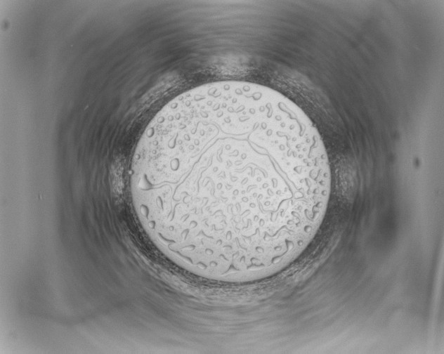 X0000057560032200510141400