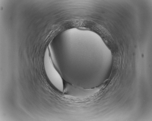 X0000057560035200510141400