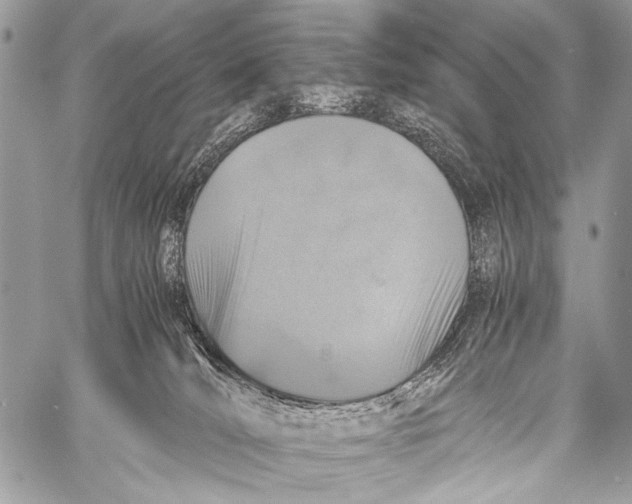 X0000057560036200510141400